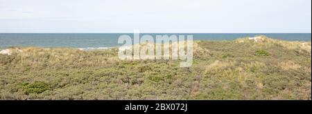 Dunes, mer du Nord et côte de la réserve naturelle de Waddensea à Ameland, pays-Bas Banque D'Images