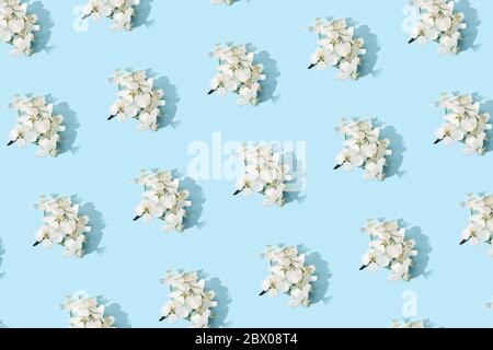 Motif floral pomme. Arrière-plan d'été lumineux Banque D'Images