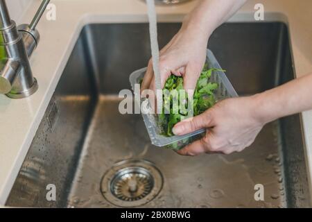 Laver les feuilles mûres juteuses d'arugula dans la cuisine pour la salade Banque D'Images