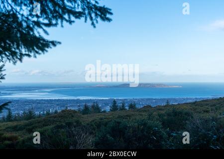 Vue imprenable sur la ville et le port de Dublin depuis Ticknock, 3rock, Wicklow. Plantes géantes et forestières en premier plan pendant un temps calme Banque D'Images