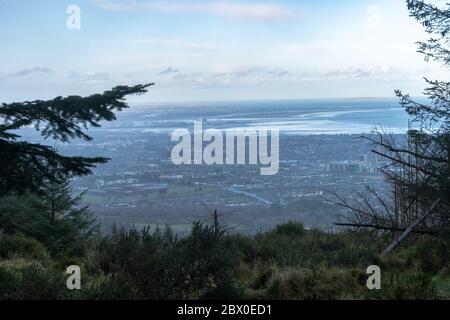 Vue imprenable sur la ville et le port de Dublin depuis Ticknock, 3rock, Wicklow. Plantes géantes et forestières en premier plan pendant un temps calme Banque D'Images