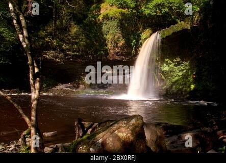 Sgwd Gwladys ou Lady Falls sur la rivière Pyrddin dans le parc national de Brecon Beacons, Galles du Sud, Royaume-Uni Banque D'Images