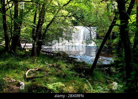 Sgwd Ddwli Uchaf ou Upper Gushing Falls sur la rivière Fechan dans le parc national des Brecon Beacons, pays de Galles du Sud, Royaume-Uni Banque D'Images