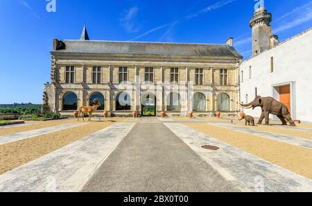 France, Indre et Loire, le Grand Pressigny, Château du Grand Pressigny, Musée de la Préhistoire du Grand Pressigny // France, Indre-et-Loire (37), le Grand- Banque D'Images