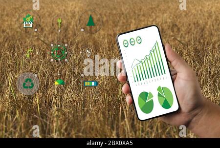 Concept de technologie agricole homme Agronomiste utilisant un comprimé dans un domaine agricole lire un rapport Banque D'Images
