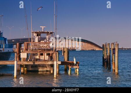 Crevettiers, pont Laguna Madre Causeway derrière, Port Isabel, bord de mer du golfe du Mexique, Texas, États-Unis Banque D'Images