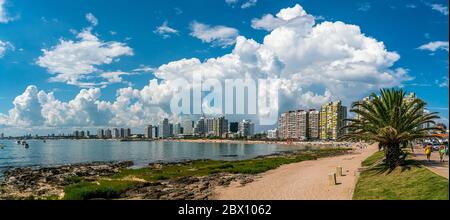 Promenade touristique sur Rambla (rue) Claudio Wiliman vers une plage de Punta Del Este, Uruguay, 28 janvier 2019 Banque D'Images