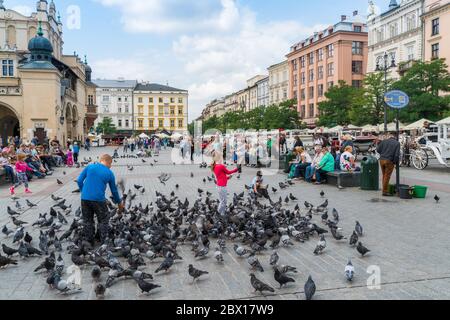 Krakau 21 août 2017 : les enfants nourrissent des colombes sur la place Rynek Główny près du bâtiment historique Sukiennice dans le vieux centre de Cracovie Banque D'Images