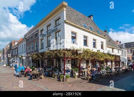 Champs avec tulipes colorées dans les plaines hollandaises au printemps Banque D'Images