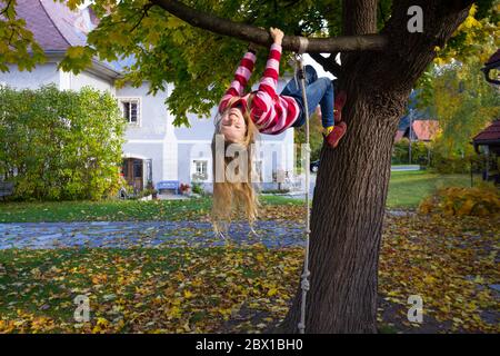 fille gaie accrochée à un arbre. joyeuses fêtes Banque D'Images