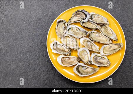 Huîtres fraîches prêtes à être mangées brutes. Huîtres sur une assiette jaune et une pierre noire. Poisson cru aux huîtres, dîner luxueux et coquillages frais de qualité. Banque D'Images