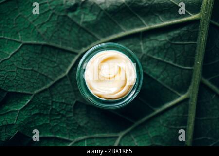 Texture de crème cosmétique naturelle pour les soins du corps sur la feuille verte. Cosmétiques biologiques Banque D'Images