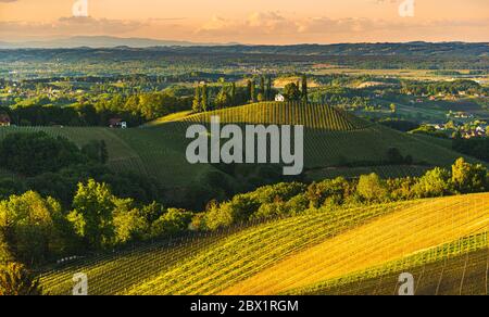 Coucher de soleil sur le paysage viticole de Styrie du Sud à Steiermark, Autriche. Banque D'Images
