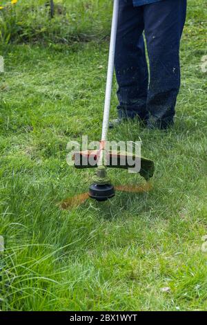 l'ouvrier tond l'herbe et les mauvaises herbes avec une tondeuse à gazon dans le pays Banque D'Images