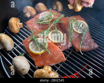 Morceaux d'un saumon frais répartis sur une grille ronde pour fumer, des tranches de citron et une branche de romarin sur le poisson rouge, exposition de champignons Banque D'Images