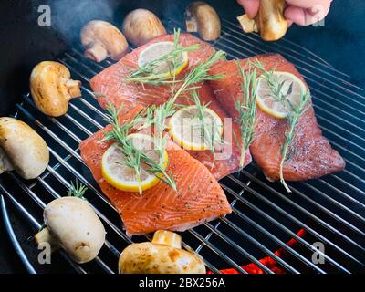 Morceaux d'un saumon frais répartis sur une grille ronde pour fumer, des tranches de citron et une branche de romarin sur le poisson rouge, exposition de champignons Banque D'Images