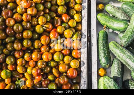 Gros plan de nombreuses tomates mûres juteuses et concombres sur le comptoir - un marché méditerranéen traditionnel - produits naturels de qualité supérieure sélectionnés Banque D'Images