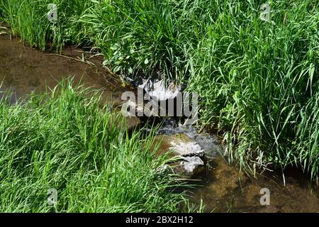 flux limpide Banque D'Images