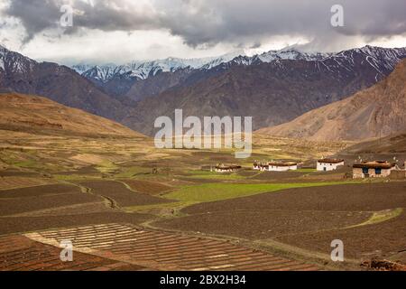 Une vue panoramique sur les montagnes de l'Himalaya et les champs verdoyants du village de Langza dans la vallée de Spiti. Banque D'Images