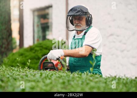 L'homme de l'âge d'or paysagé et prenant soin des plantes dans le jardin. Vue avant d'un employé expérimenté portant un uniforme, un casque de protection et un masque facial coupant des bagues trop cultivées à l'aide d'une tondeuse électrique. Banque D'Images