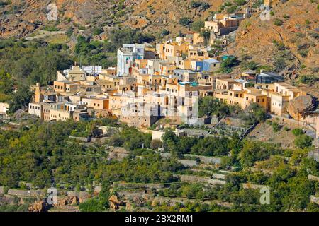 sultanat d'Oman, montagnes de jabal al akhdar, avec des villages perchés Al Ayn et d'Ash Shirayjah le long des pentes du plateau de Sayq près d'Al Aqur, les terrasses sont utilisées pour cultiver des roses pour les parfums traditionnels Banque D'Images