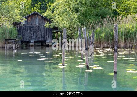 France, Savoie (73), forêt savoyard, lac Aiguebelette, cabane de pêcheur Banque D'Images