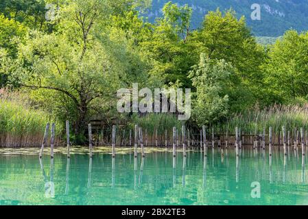 France, Savoie (73), forêt savoyard, lac Aiguebelette, cabane de pêcheur Banque D'Images