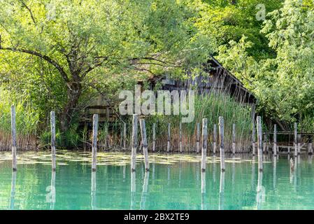 France, Savoie (73), forêt savoyard, lac Aiguebelette, cabane de pêcheur Banque D'Images