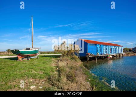 France, Charente-Maritime (17), hangar d'ostréiculteur à Saint-Trojan-les-bains, station balnéaire sur l'île d'Oléron Banque D'Images