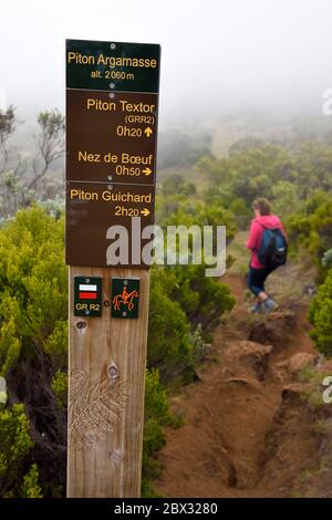 France, Ile de la Réunion (département français d'outre-mer), Parc national de la Réunion classé au patrimoine mondial par l'UNESCO, sur les pentes du volcan Piton de la Fournaise, randonnée entre Piton Textor et Piton Argamasse Banque D'Images