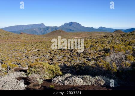 France, Ile de la Réunion (département français d'outre-mer), Parc national de la Réunion classé au patrimoine mondial par l'UNESCO, sur les pentes du volcan Piton de la Fournaise, randonnée sur le chemin oratoire Ste Therese au-dessus de la Plaine des Sables, le Piton des Neiges au nord Banque D'Images