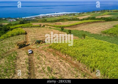 France, Ile de la Réunion (département français d'outre-mer), petite-Ile, coupe et récolte de canne à sucre (vue aérienne) Banque D'Images