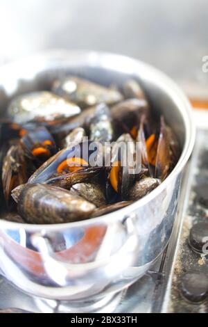 Espagne, Galice, Ramon Pena en conserve, moules à déguster à bord du bateau Banque D'Images