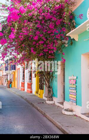 Colombie, Département Bolivar, Cartagena de Indias, centre historique classé au patrimoine mondial par l'UNESCO, district de Getsemani Banque D'Images