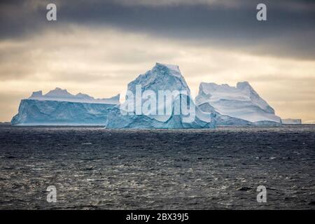 Régions polaires, Antarctique, îles Orcades du Sud, Océan Austral, iceberg à la dérive Banque D'Images