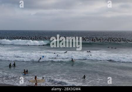 Pagayez pour Unity in Solidarity avec Black Lives Matter à Moonlight Beach, Encinitas, CA. Banque D'Images