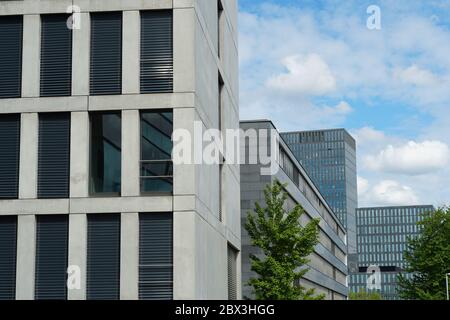 immeubles de bureaux modernes aux façades en verre et grandes fenêtres construites côte à côte avec un arbre solitaire. Banque D'Images