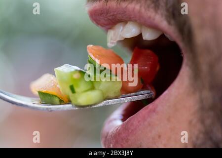 Gros plan sur un jeune barbu mangeant une salade fraîche saine avec une fourchette Banque D'Images