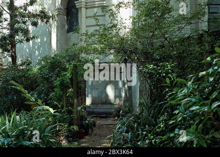 Petit jardin paysagé devant un bâtiment ancien avec soleil d'été. Banque D'Images