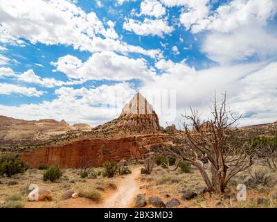 Magnifique pyramide Pectols depuis la piste Hickman Bridge du parc national Capitol Reef, dans l'Utah Banque D'Images