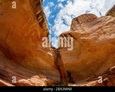 Magnifique paysage autour de la piste Hickman Bridge Trail du parc national de Capitol Reef dans l'Utah Banque D'Images