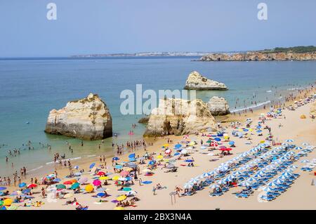 Vue sur la plage Praia da Rocha à Portimao avec chaises longues, chaises longues et parasols en été, ouest de l'Algarve, sud du Portugal Banque D'Images