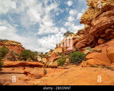 Magnifique paysage le long de la Cassidy Arch Trail du parc national de Capitol Reef, dans l'Utah Banque D'Images