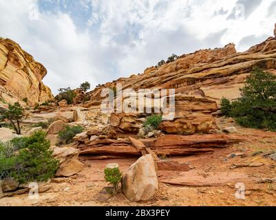 Magnifique paysage le long de la Cassidy Arch Trail du parc national de Capitol Reef, dans l'Utah Banque D'Images