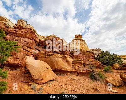 Magnifique paysage le long de la Cassidy Arch Trail du parc national de Capitol Reef, dans l'Utah Banque D'Images