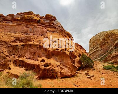 Magnifique paysage le long de la Cassidy Arch Trail du parc national de Capitol Reef, dans l'Utah Banque D'Images