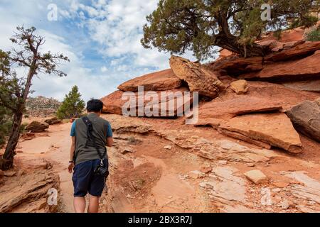 Magnifique paysage le long de la Cassidy Arch Trail du parc national de Capitol Reef, dans l'Utah Banque D'Images