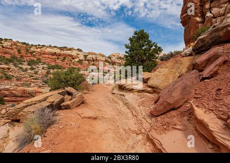 Magnifique paysage le long de la Cassidy Arch Trail du parc national de Capitol Reef, dans l'Utah Banque D'Images