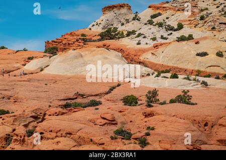 Magnifique paysage le long de la Cassidy Arch Trail du parc national de Capitol Reef, dans l'Utah Banque D'Images