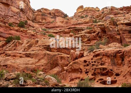 Magnifique paysage le long de la Cassidy Arch Trail du parc national de Capitol Reef, dans l'Utah Banque D'Images